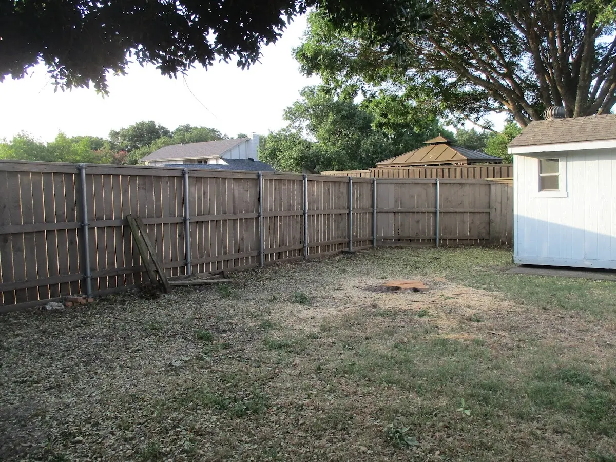 Cleared yard after professional tree removal in Avondale Estates