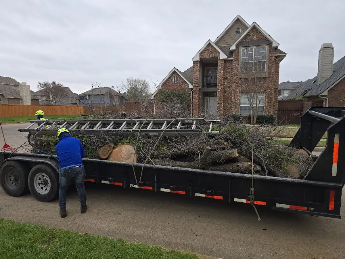 Expert Deadwooding with proper safety equipment in Avondale Estates